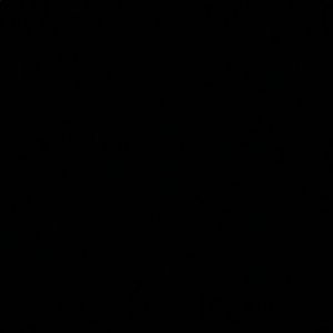 Meet your Posher, Maggie